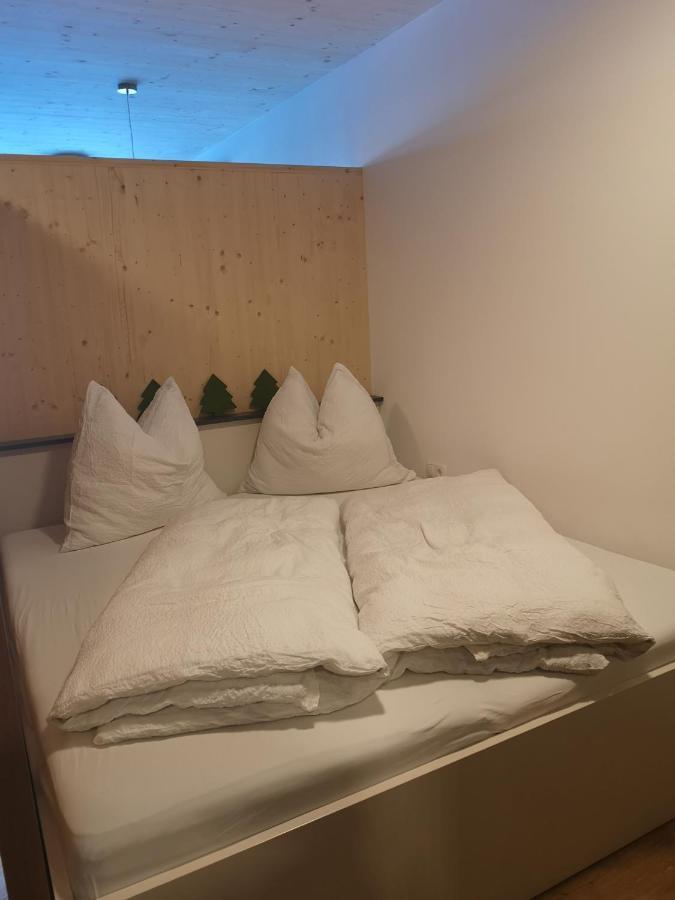 Apartment Almwiesen Mellau Eksteriør billede